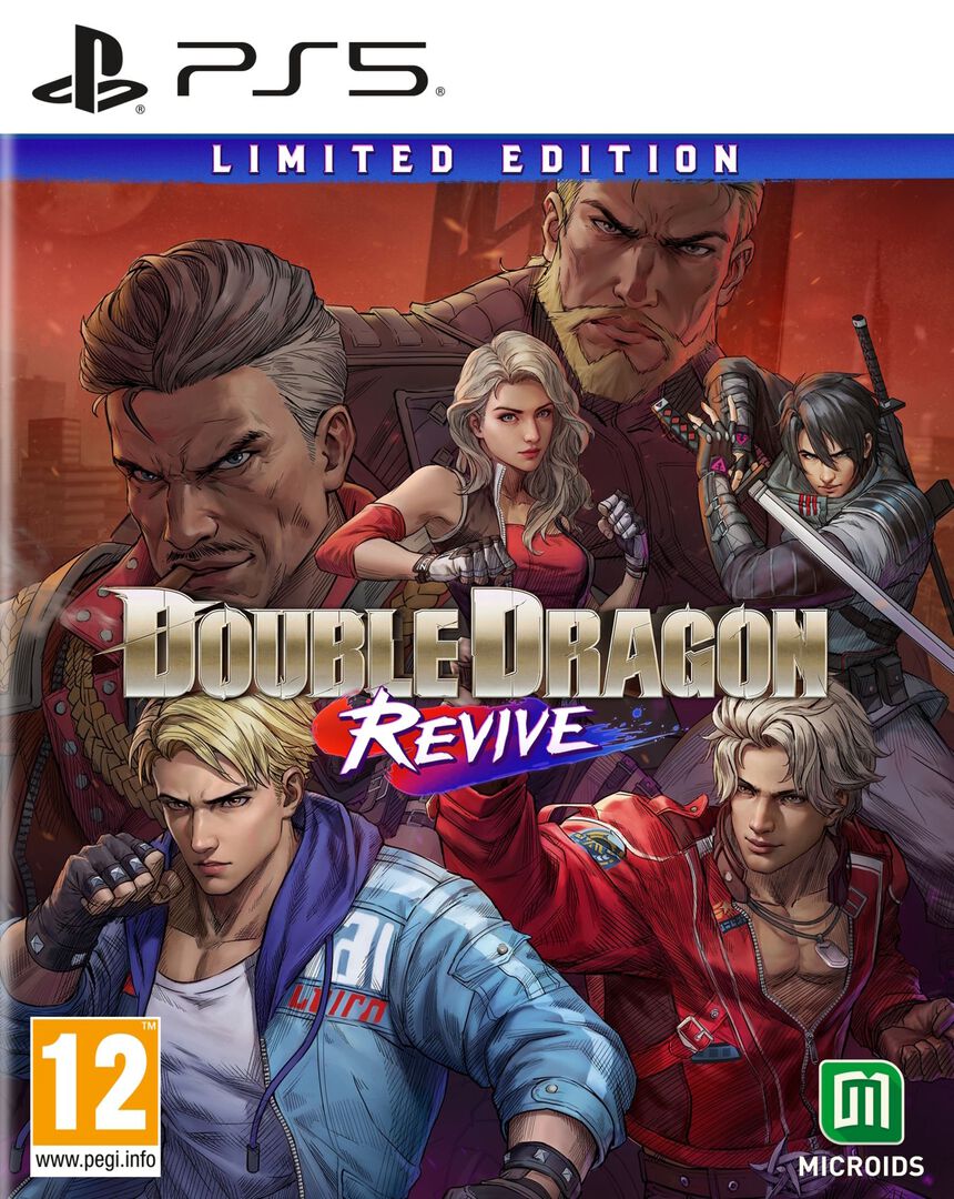 Double Dragon Revive | Occasion