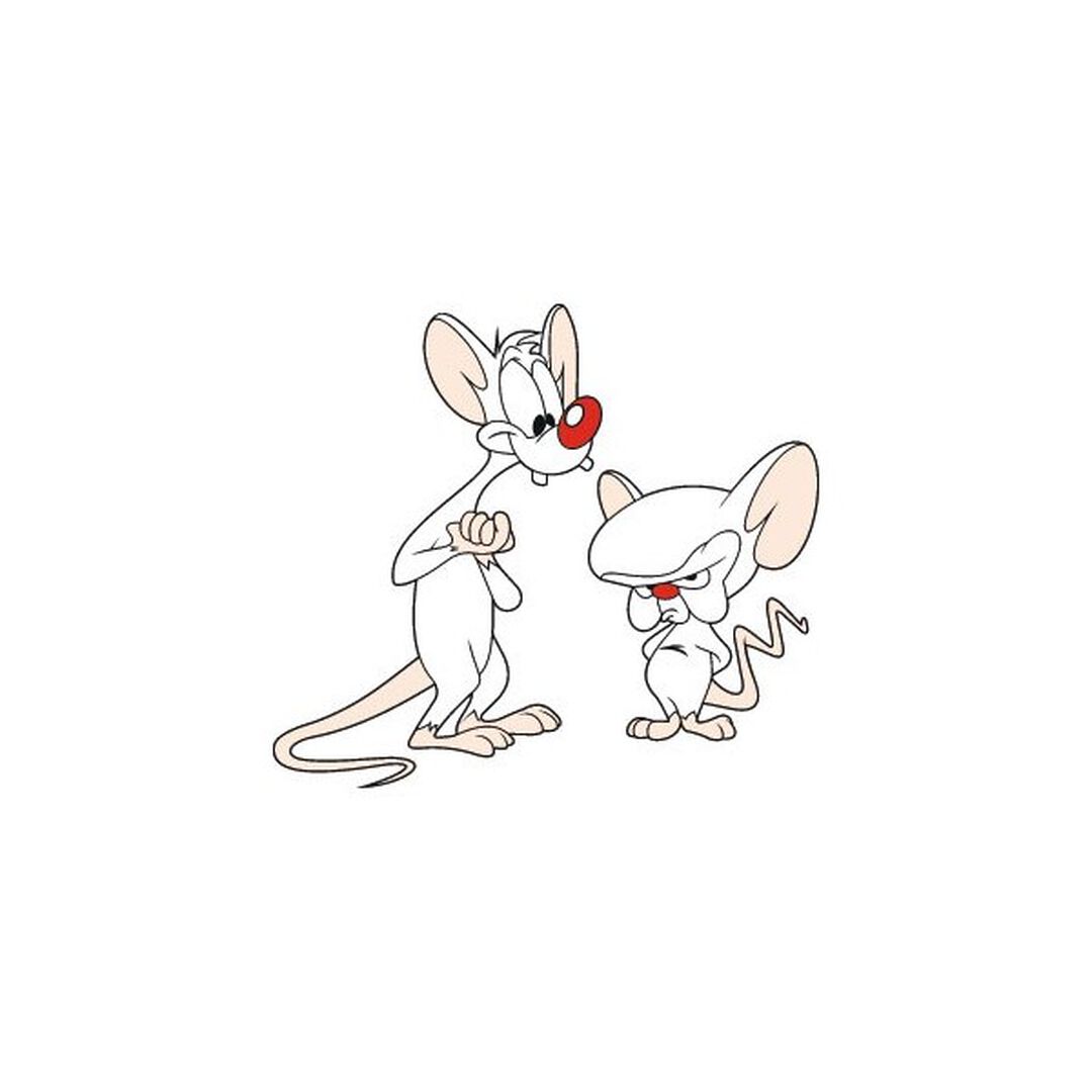 MINUS ET CORTEX