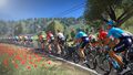Tour De France 2019 | Occasion thumb 3
