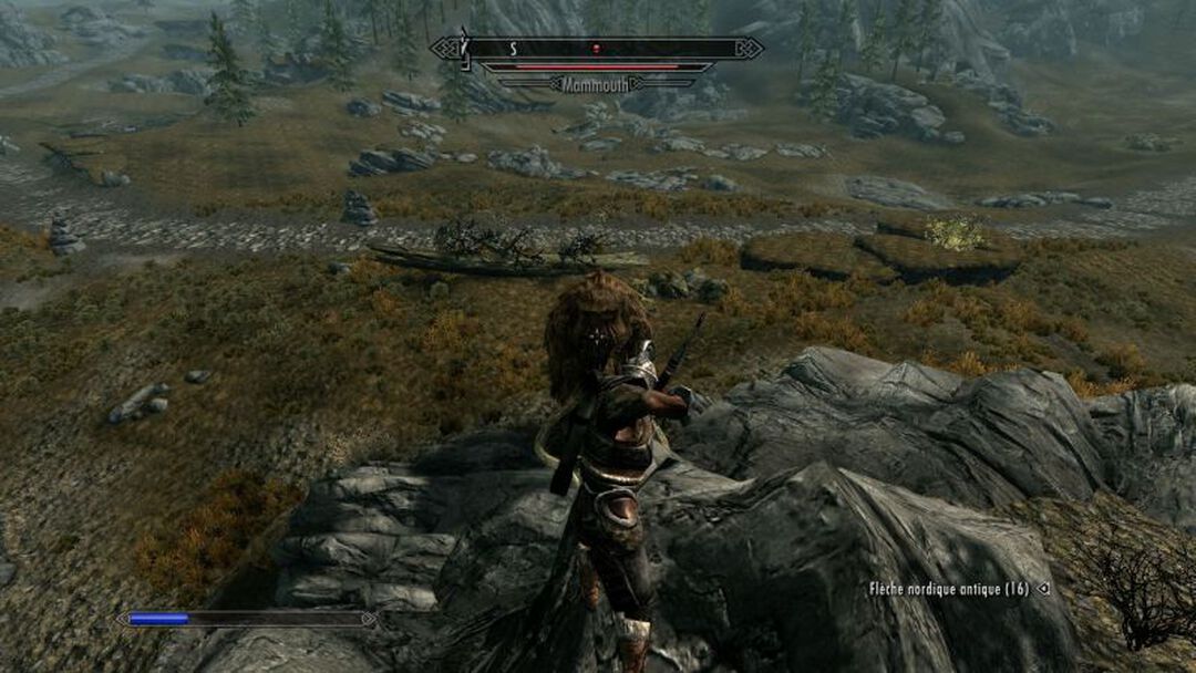 Skyrim The Elder Scrolls V | Occasion