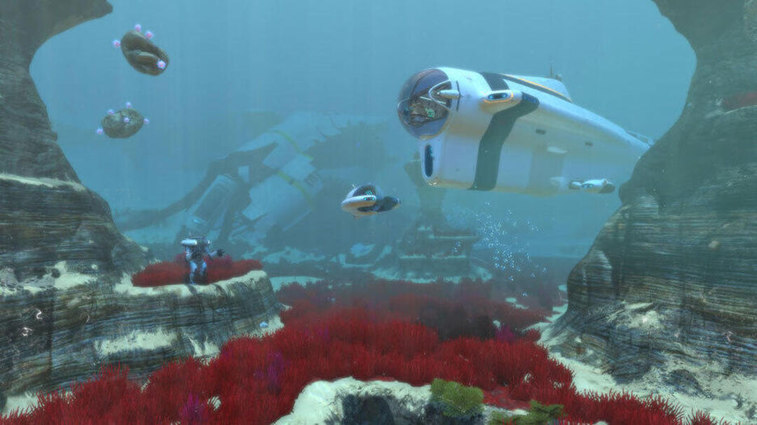 Subnautica | Occasion
