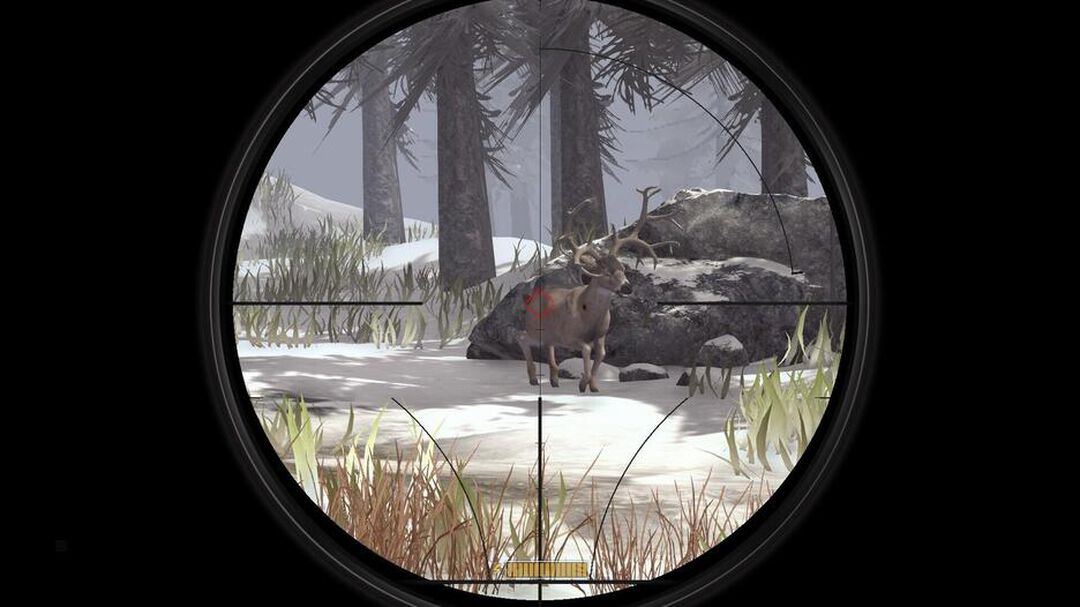 Deer Hunter Reloaded | Occasion