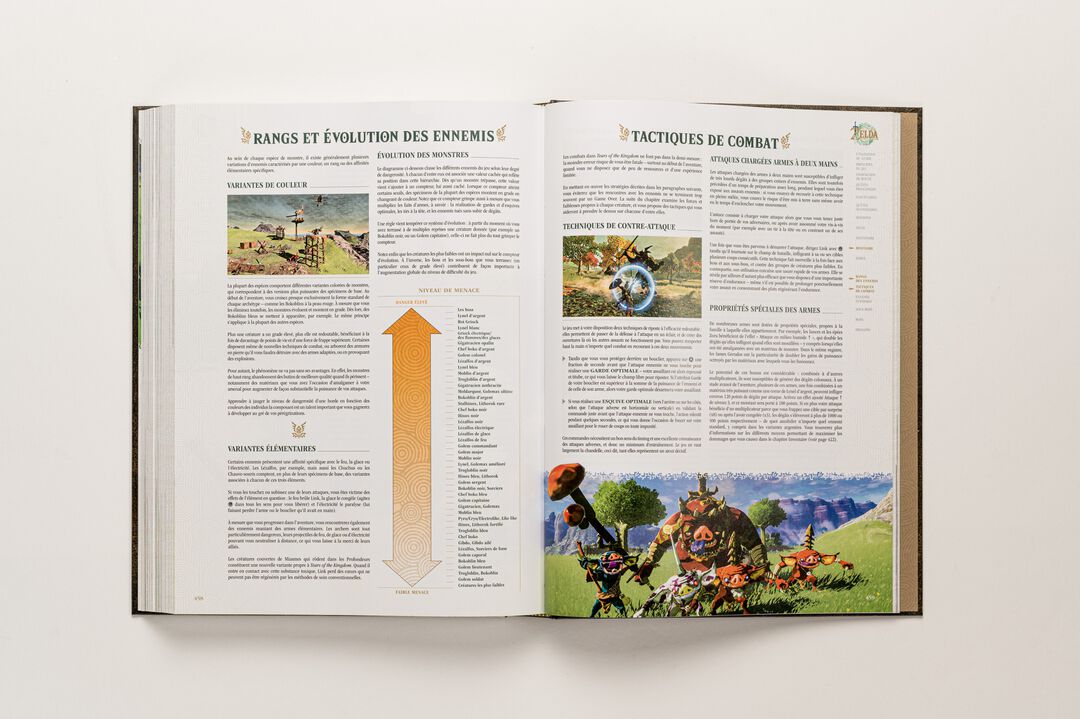 GUIDE ZELDA Tears Of The Kingdom | Version Collector