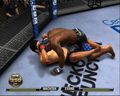Ufc 2010 | Occasion thumb 5