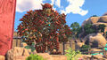 Knack | Occasion thumb 21