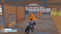 Ma Vie Avec Mes Chevaux 3 thumb 2
