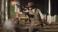 Red Dead Redemption 2 | Occasion thumb 19