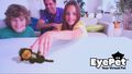 Eyepet | Occasion thumb 2