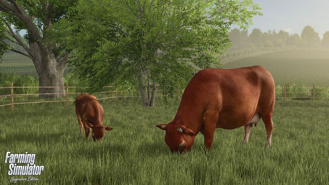 Farming Simulator Signature Edition | Occasion
