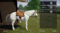 Ma Vie Veterinaire | Occasion thumb 1