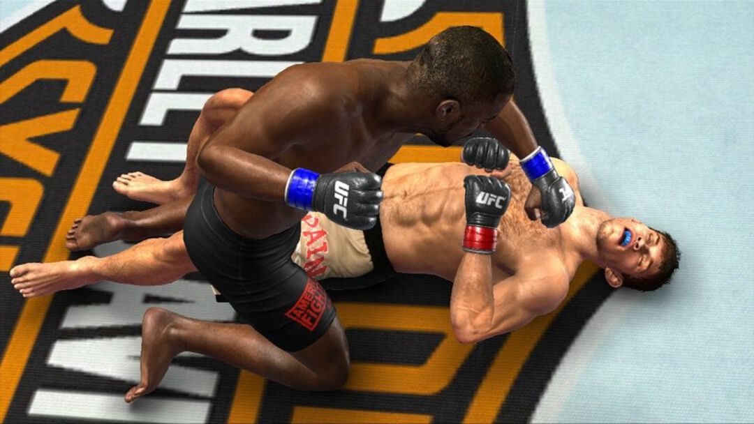 Ufc Undisputed | Occasion