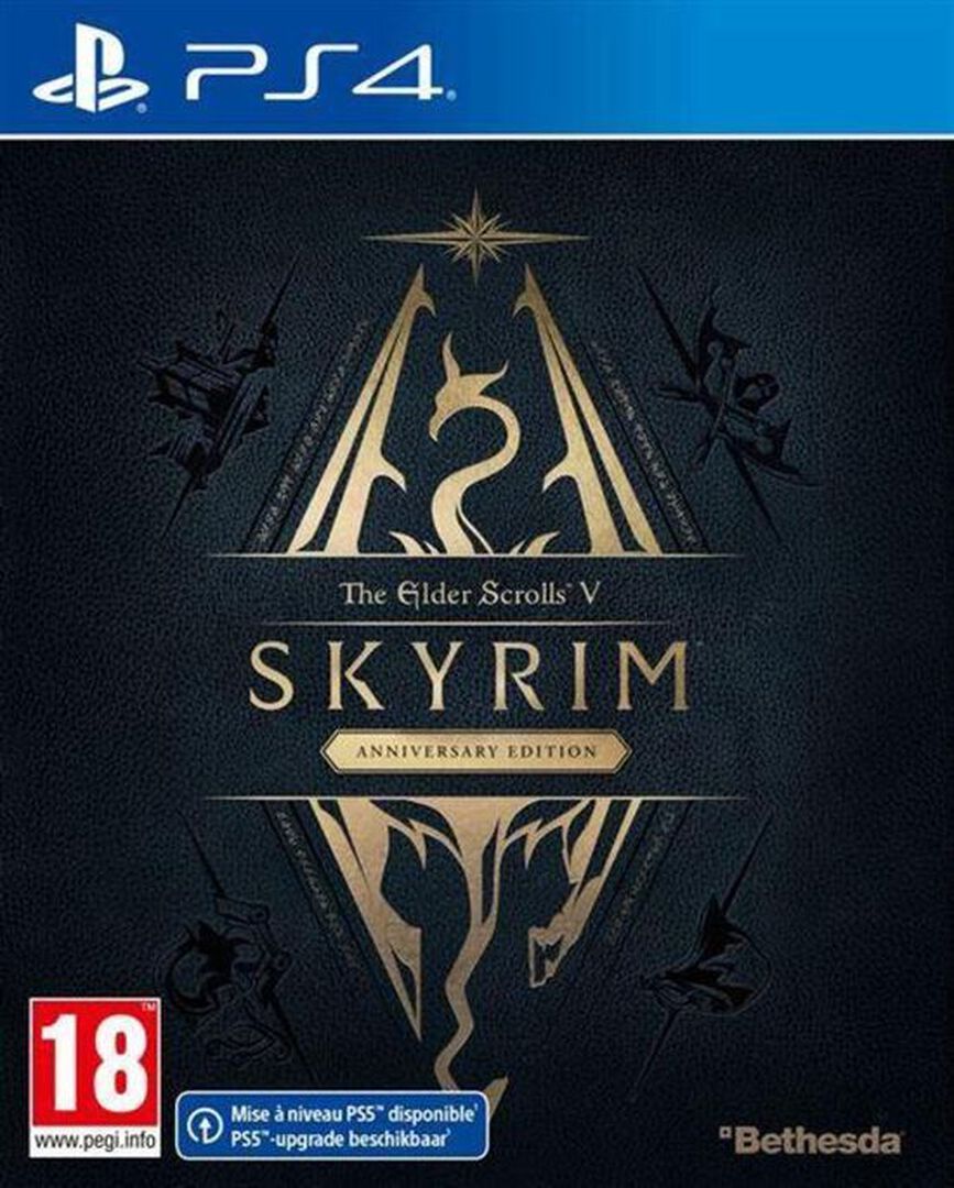 Skyrim Anniversary Edition | Occasion