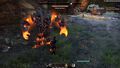 Elder Scrolls Online Morrowind | Occasion thumb 10