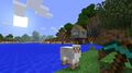 Minecraft thumb 9