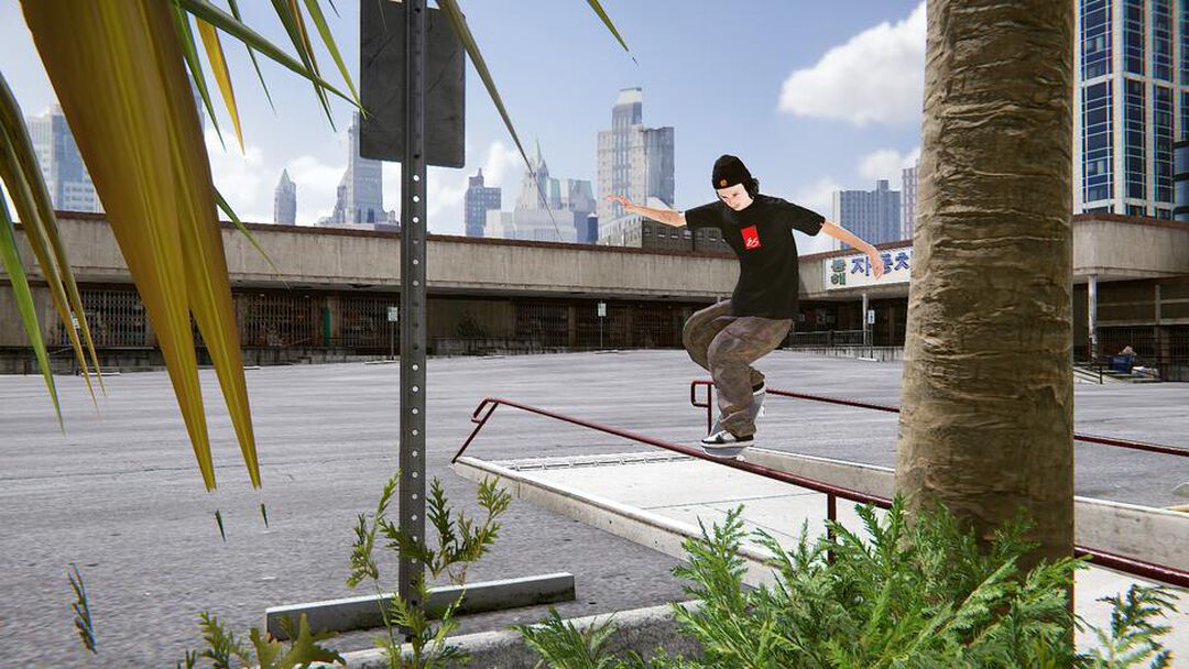 Skater Xl (ue)