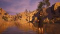 The Catch Carp And Coarse Collector's Edition - Occasion
