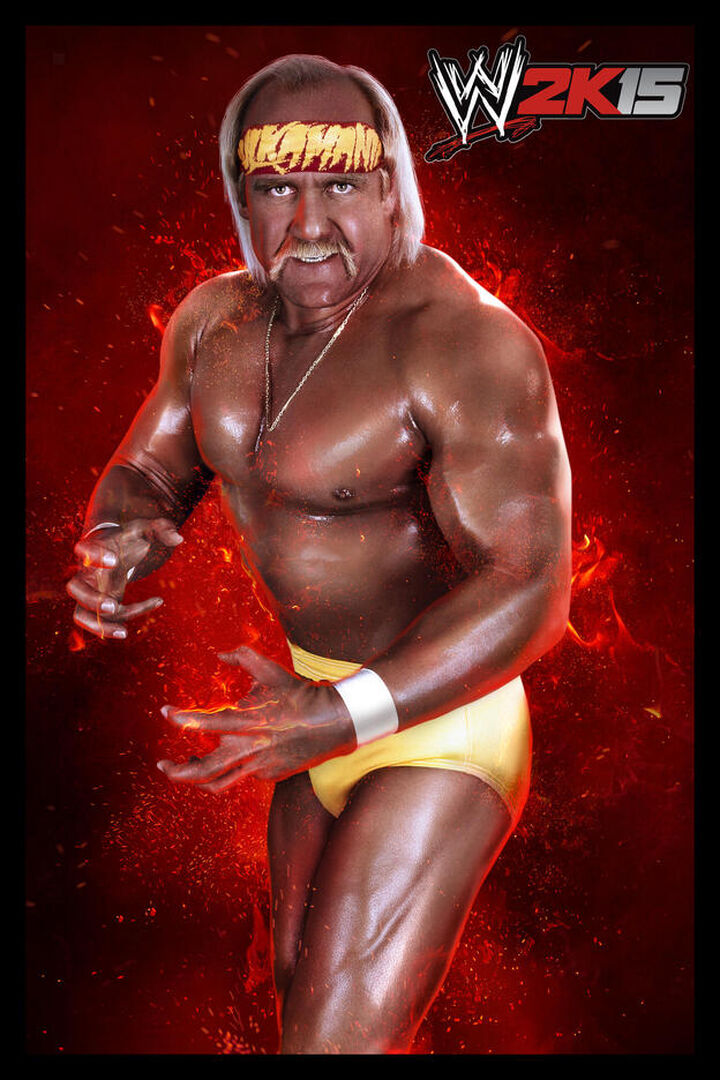 Wwe 2k15 | Occasion