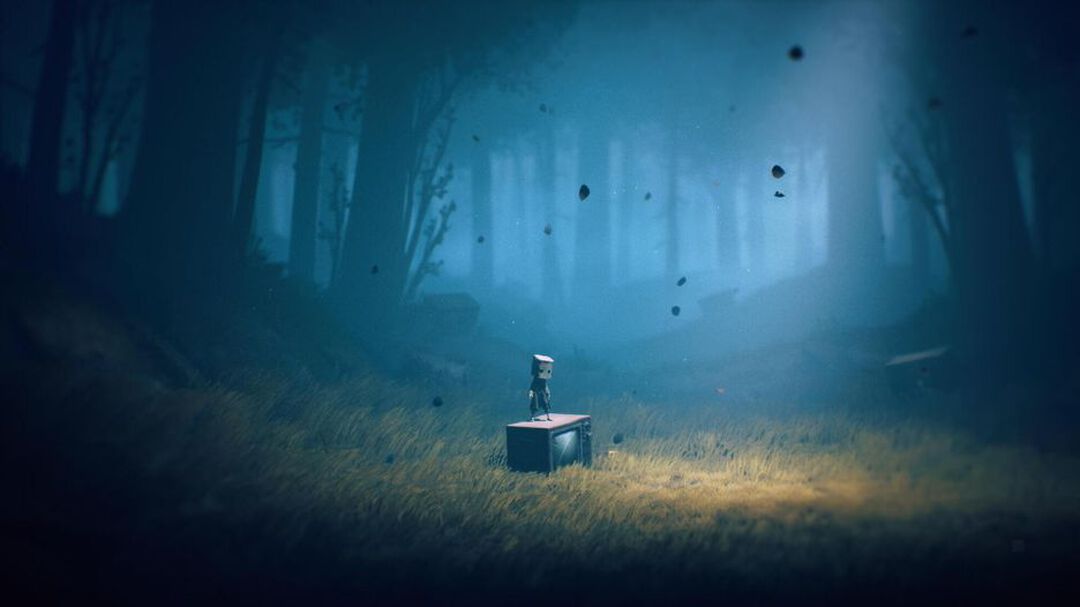 Little Nightmares I & II | Occasion