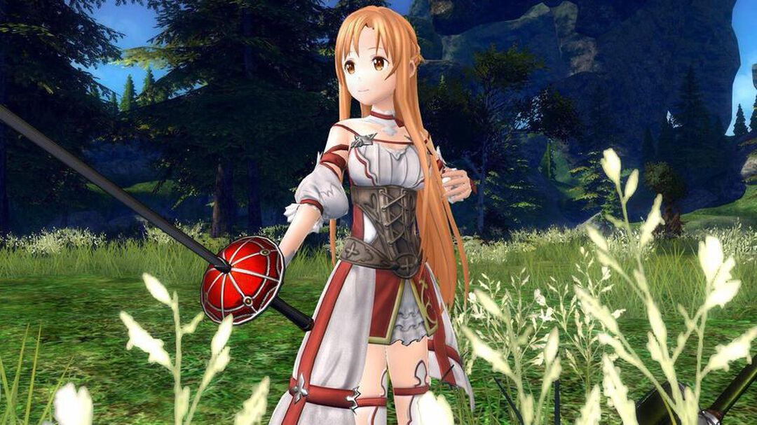 Sword Art Online Hollow Realization | Occasion