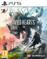 Wild Hearts - Occasion