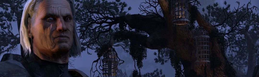 Elder Scrolls Online Tamriel Unlimited
