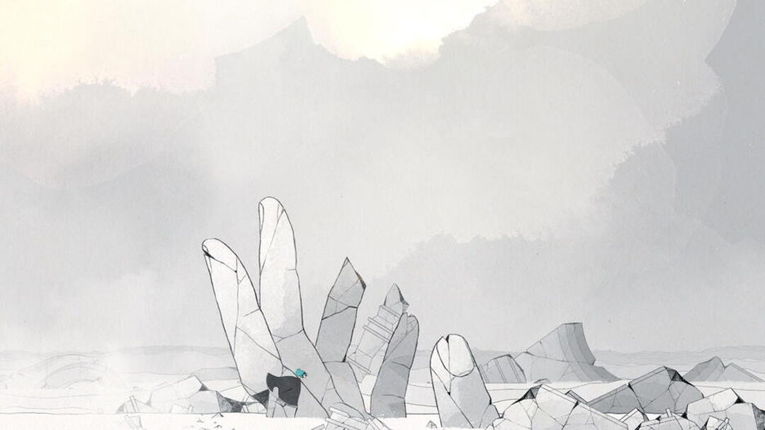 Gris | Occasion