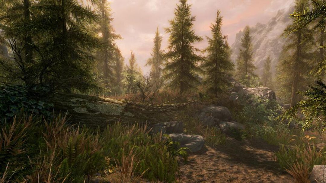 The Elder Scrolls V Skyrim | Occasion