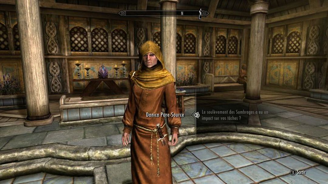 Skyrim The Elder Scrolls V | Occasion