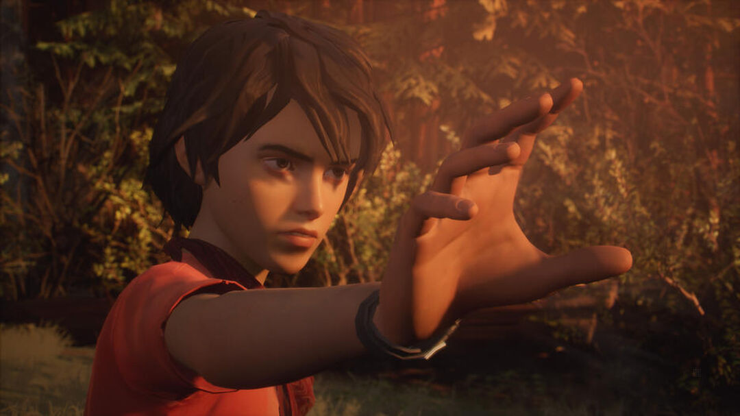 Life Is Strange 2 | Occasion