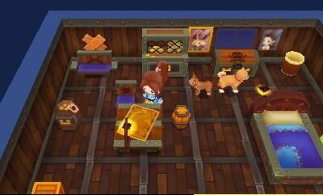 Fantasy Life | Occasion