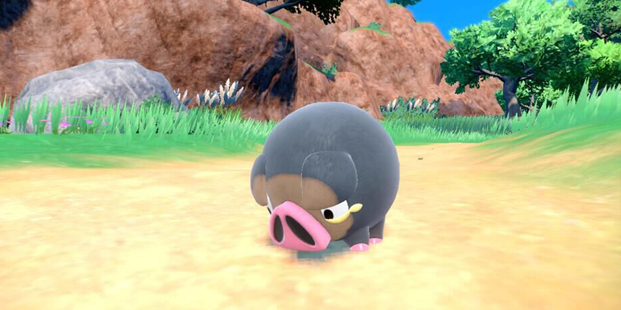 pokemon-cochon