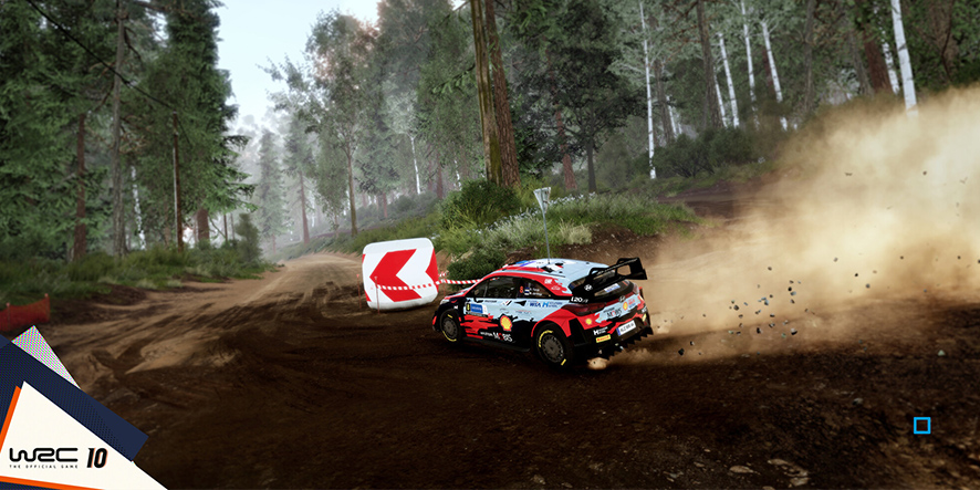wrc10-boue