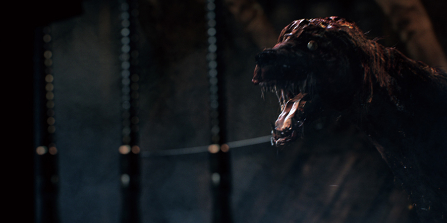 Un chien dans Bloodborne