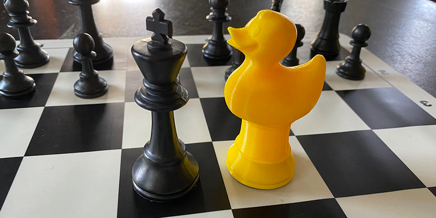 echecs-variantes-pion-duck-chess