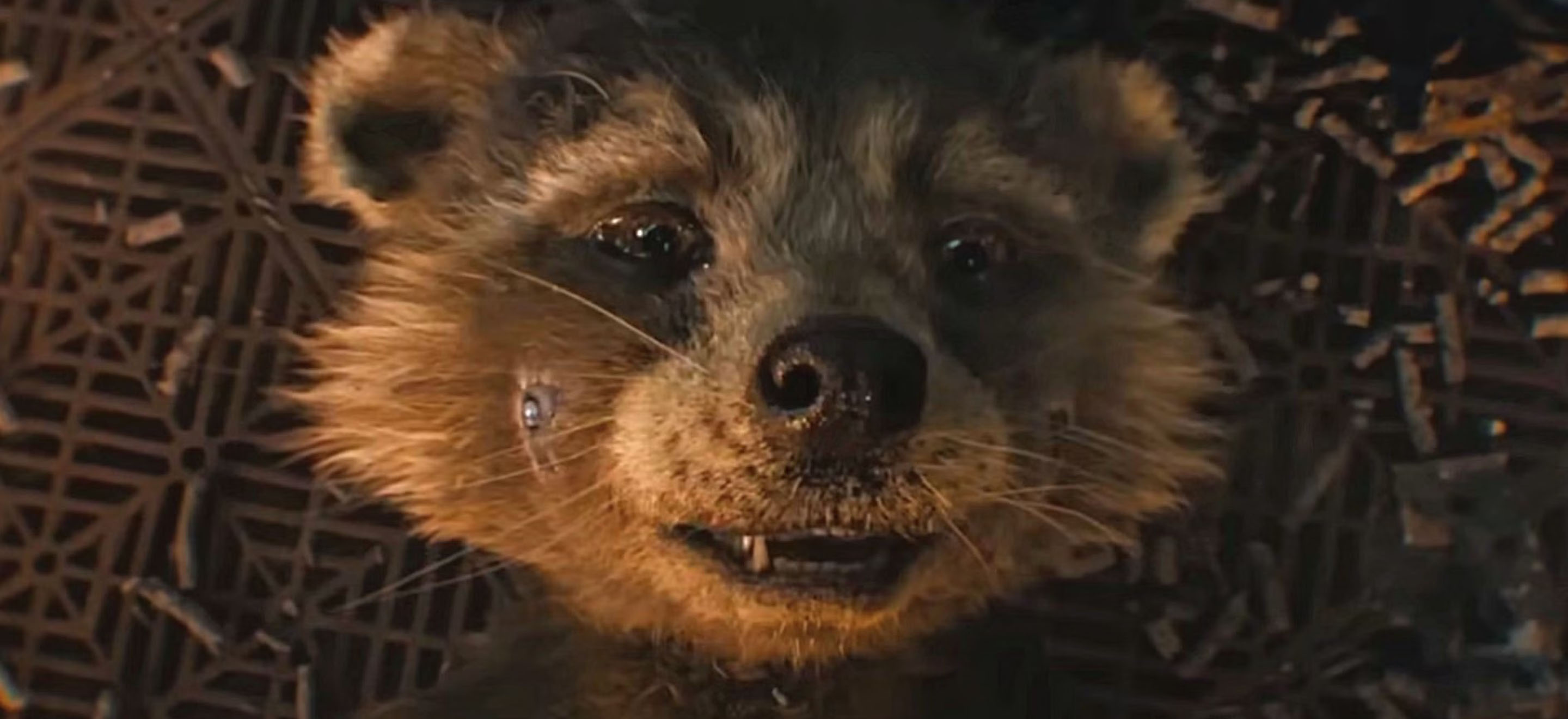 La v&eacute;ritable histoire des compagnons d&rsquo;enfance de Rocket Raccoon