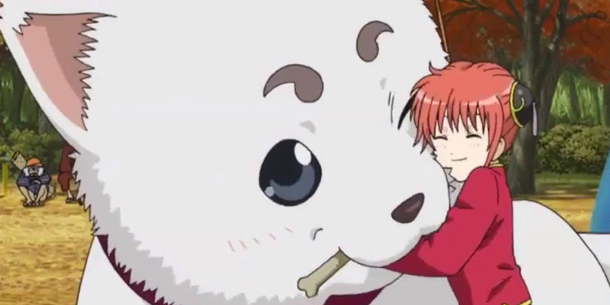 sadaharu-gintama