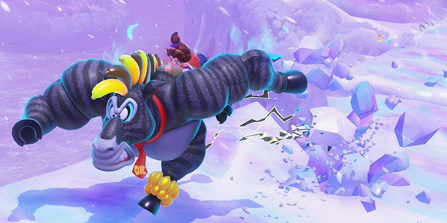 donkey-kong-bananza-tout-savoir-zebre