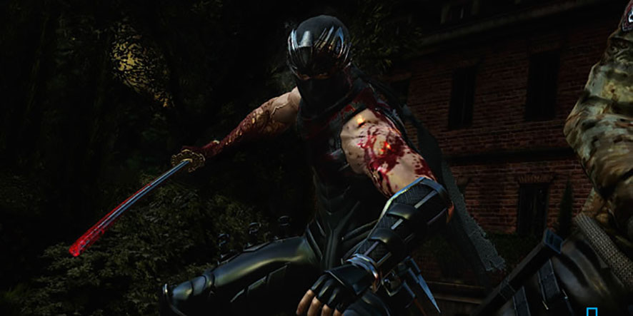 Ninja-Gaiden