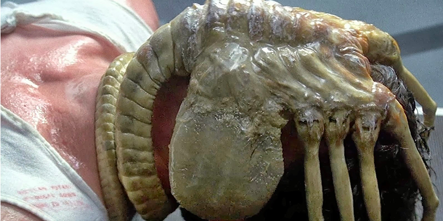 alien-facehugger