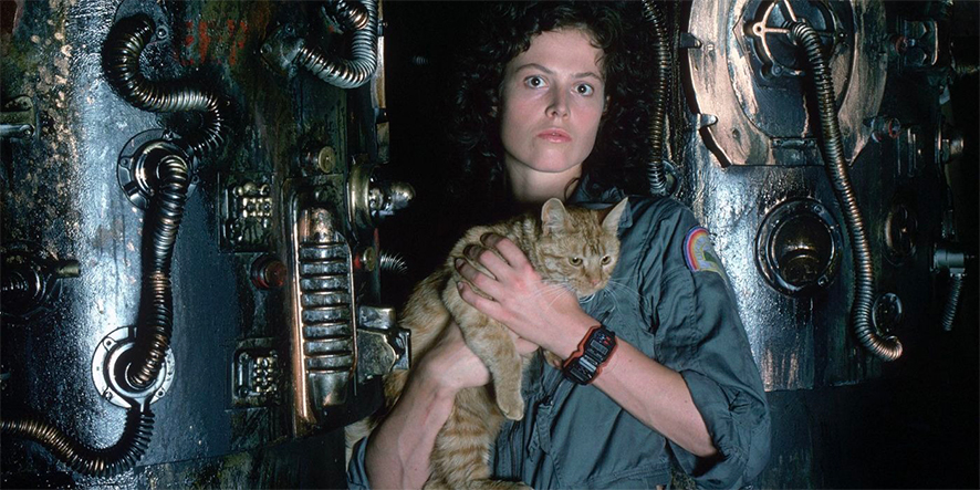 alien-chat