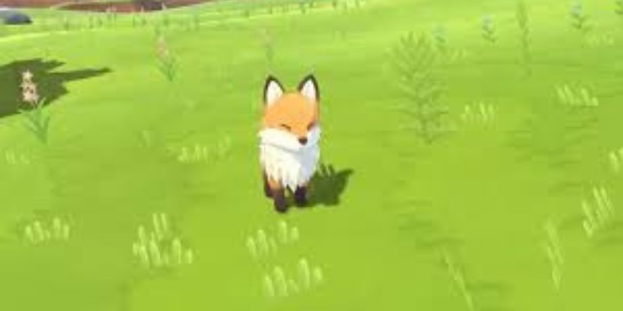 harvest-moon-renard
