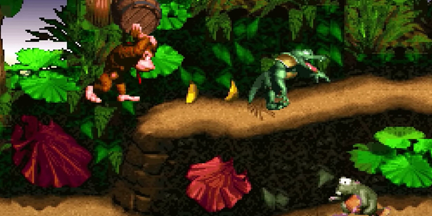 donkeykongcountry-tonneau
