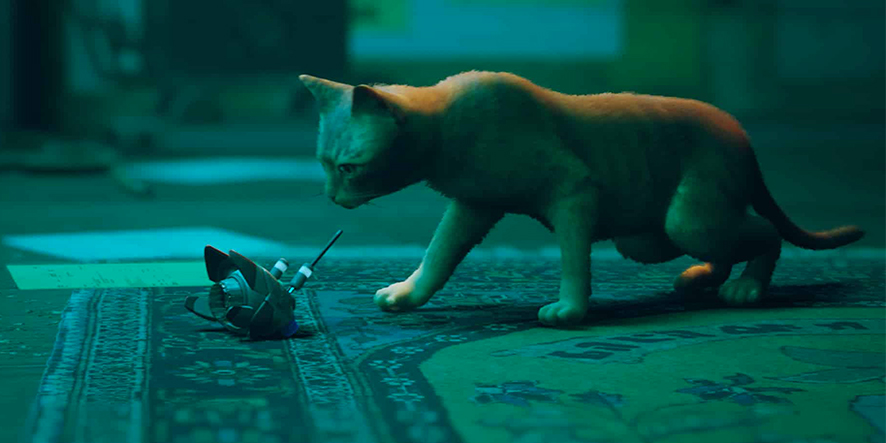 Stray-chat