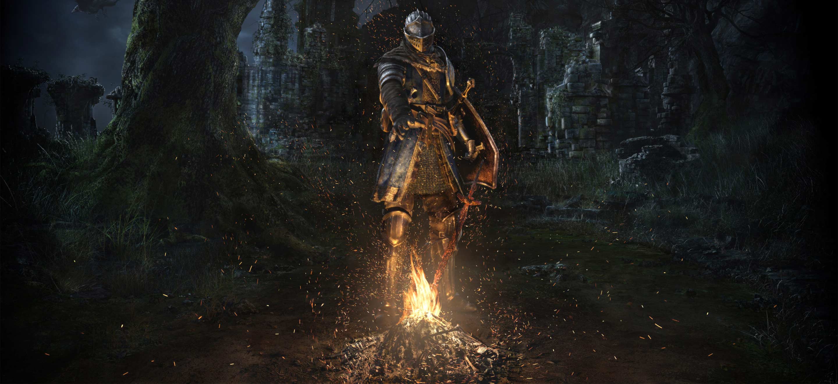 From Software : l&rsquo;art de la galipette