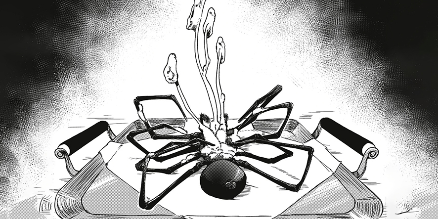 Spider-noirblanc