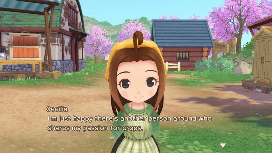 Story Of Seasons A Wonderful Life - Occasion
