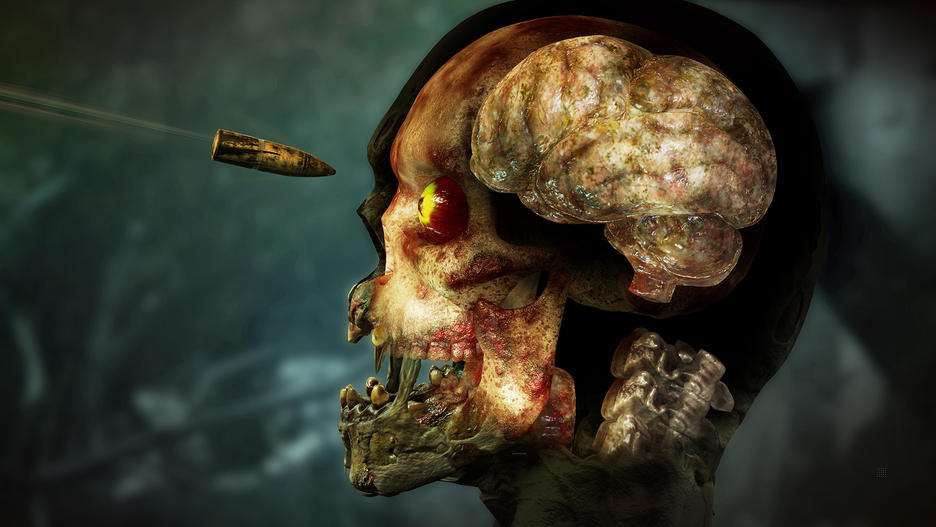 Zombie Army 4 Dead War - Occasion