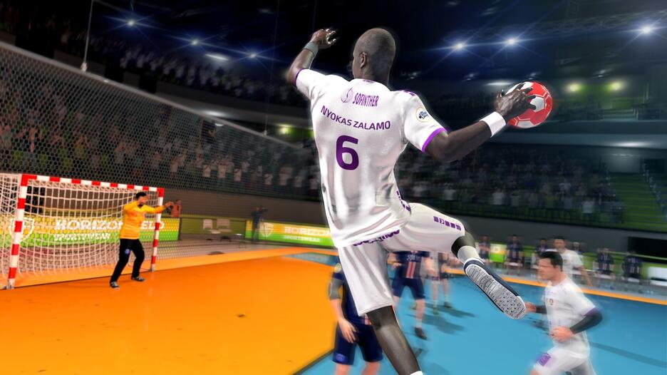 Handball 21 - Occasion