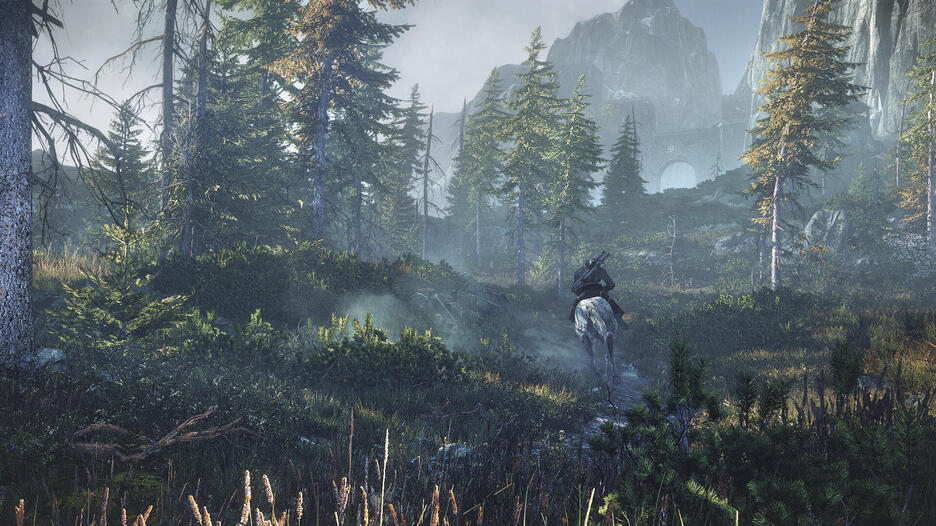 The Witcher 3 Wild Hunt