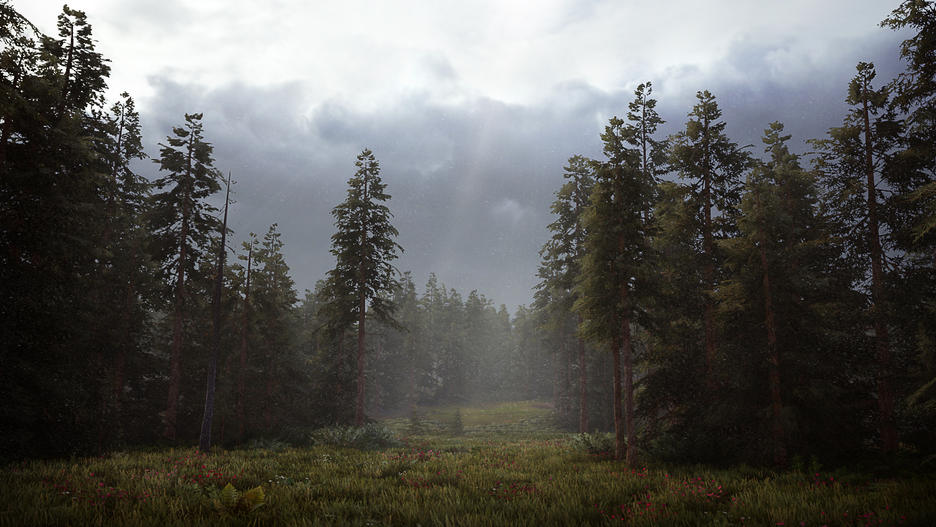 Hunting Simulator 2 - Occasion